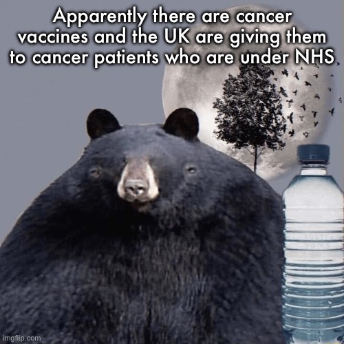 Another info short | Apparently there are cancer vaccines and the UK are giving them to cancer patients who are under NHS | image tagged in hydrate threat bear | made w/ Imgflip meme maker