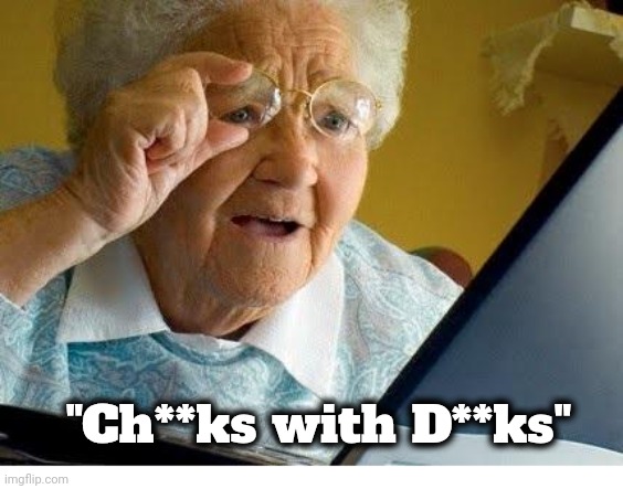 old lady at computer | "Ch**ks with D**ks" | image tagged in old lady at computer | made w/ Imgflip meme maker