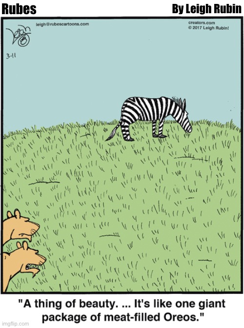 By Leigh Rubin; Rubes | image tagged in comics/cartoons,rubes,wild animals,big cats,zebra | made w/ Imgflip meme maker