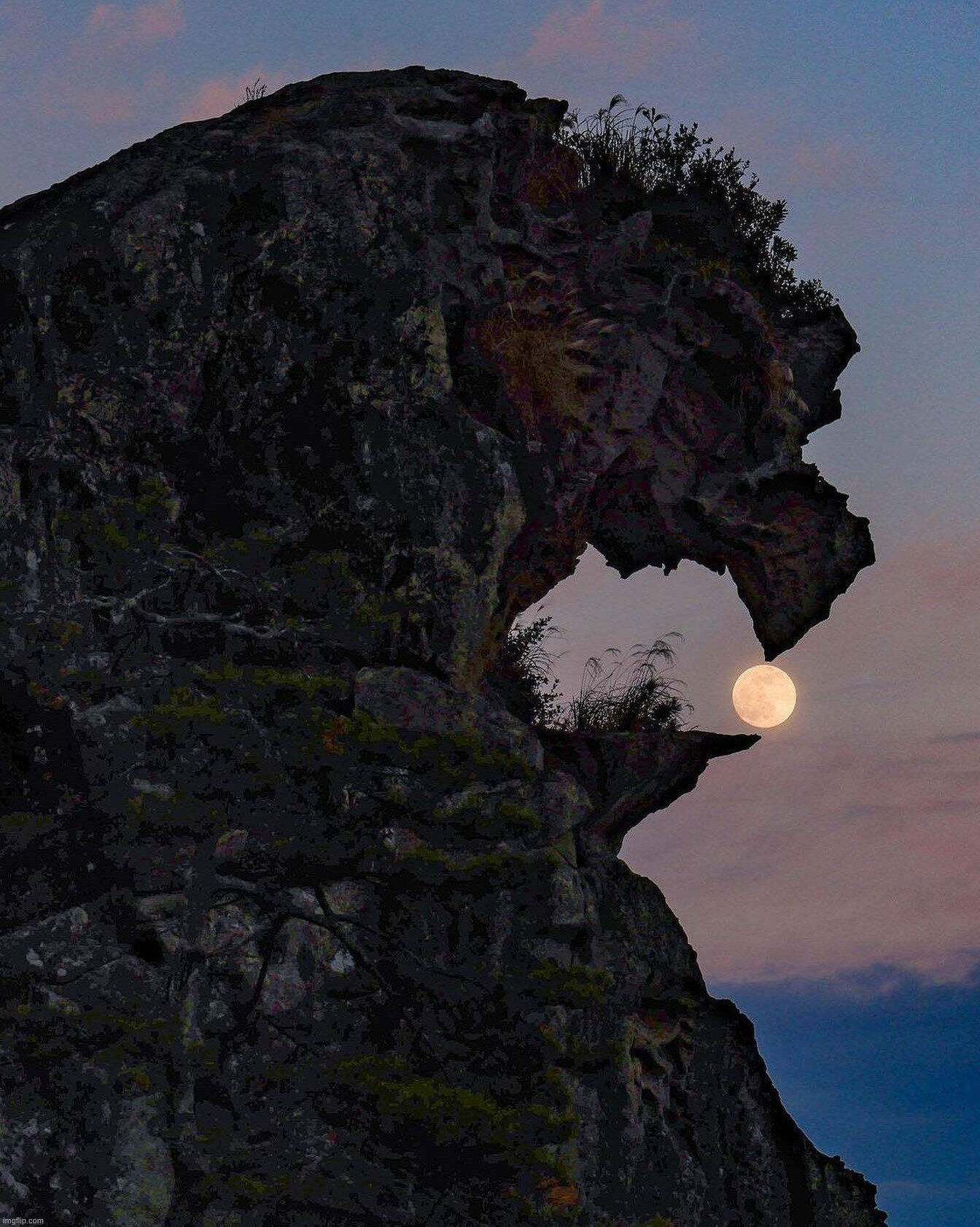 Looks like Godzilla | image tagged in awesome | made w/ Imgflip meme maker