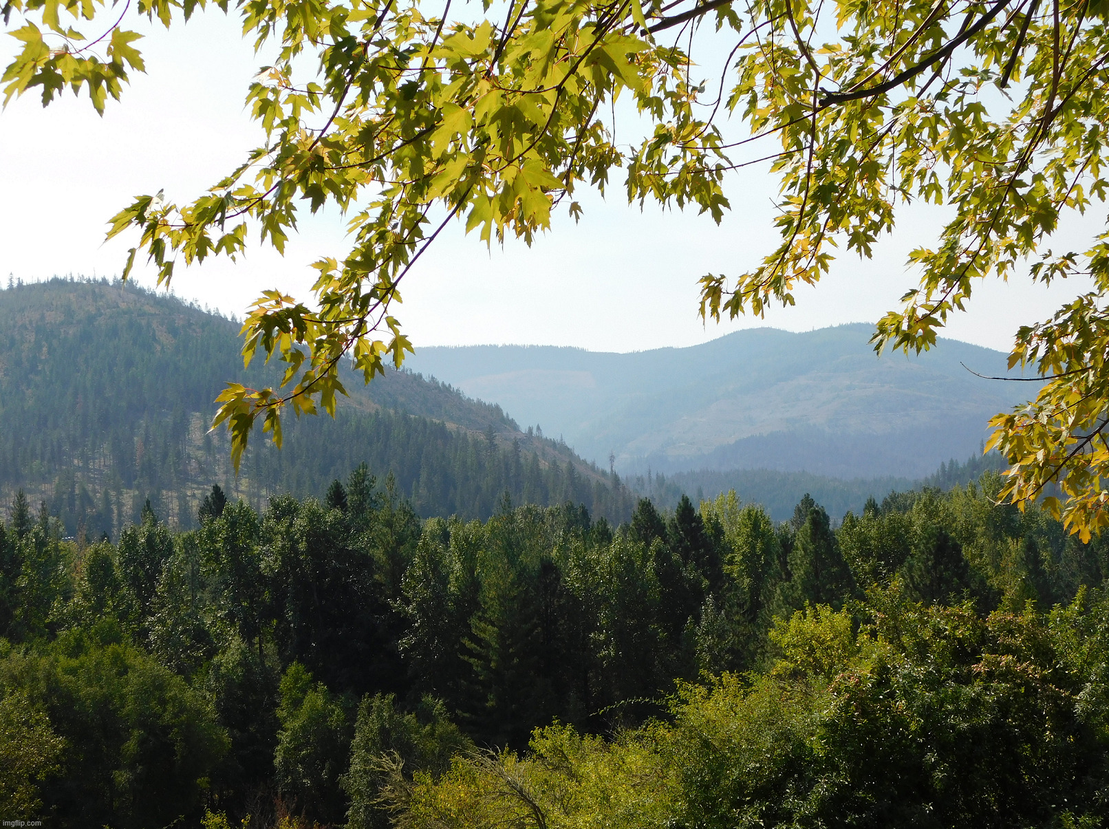 Nice view of valley | image tagged in photography | made w/ Imgflip meme maker