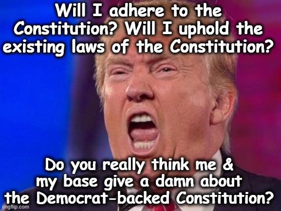 Felon 47 and the Constitution | Will I adhere to the Constitution? Will I uphold the existing laws of the Constitution? Do you really think me & my base give a damn about the Democrat-backed Constitution? | image tagged in maga,deplorable donald,law and order,nevertrump meme,fascists,trump is a moron | made w/ Imgflip meme maker