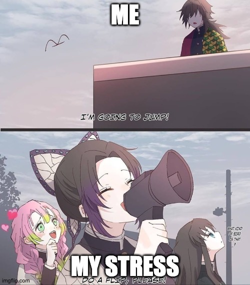 stress | ME; MY STRESS | image tagged in do a flip please,demon slayer,memes,funny memes,meme | made w/ Imgflip meme maker