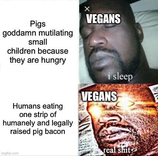 Sleeping Shaq Meme | Pigs goddamn mutilating small children because they are hungry Humans eating one strip of humanely and legally raised pig bacon VEGANS VEGAN | image tagged in memes,sleeping shaq | made w/ Imgflip meme maker