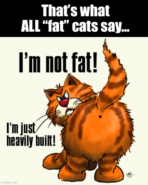 That’s what ALL “fat” cats say… | image tagged in cats,fat cat,thats what they all say | made w/ Imgflip meme maker