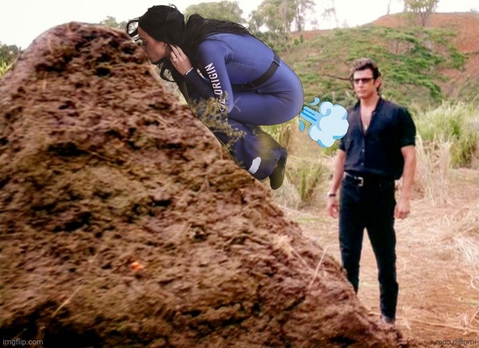 I fart in your general direction | image tagged in jurrasic park,spacex | made w/ Imgflip meme maker