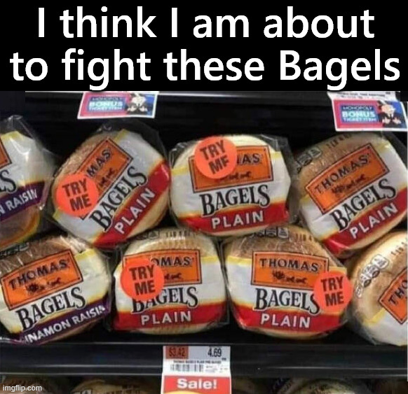 Do you want to try me? | I think I am about to fight these Bagels | image tagged in fight | made w/ Imgflip meme maker
