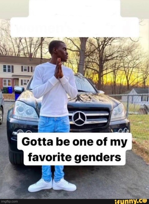gotta be one of my favorite genders | image tagged in gotta be one of my favorite genders | made w/ Imgflip meme maker