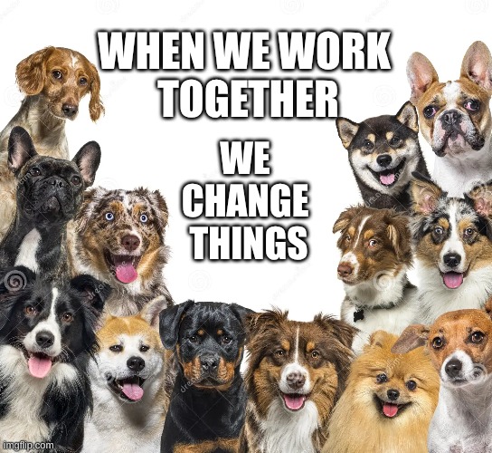We Change Things | WHEN WE WORK 
TOGETHER; WE 
CHANGE 
THINGS | image tagged in work together,we change things | made w/ Imgflip meme maker
