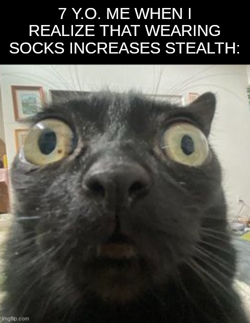 sneaky mode | 7 Y.O. ME WHEN I REALIZE THAT WEARING SOCKS INCREASES STEALTH: | image tagged in jinx staring,memes,relatable,nostalgia | made w/ Imgflip meme maker