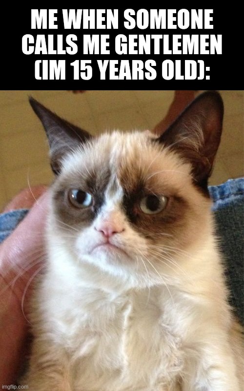 like, stop treating me like im old | ME WHEN SOMEONE CALLS ME GENTLEMEN (IM 15 YEARS OLD): | image tagged in memes,grumpy cat,funny | made w/ Imgflip meme maker