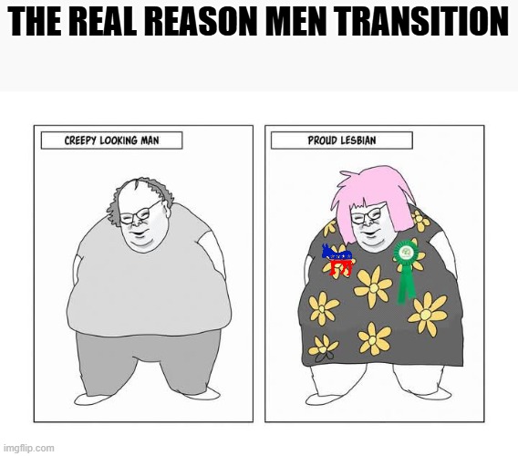 fat and weird to fat and revered | THE REAL REASON MEN TRANSITION | made w/ Imgflip meme maker