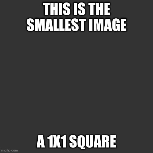 can you see it | THIS IS THE SMALLEST IMAGE; A 1X1 SQUARE | image tagged in memes,funny,what if you wanted to go to heaven,not a blank template | made w/ Imgflip meme maker