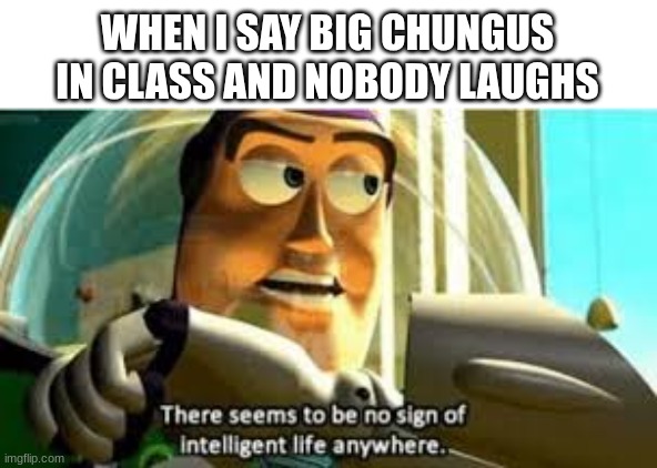 There seems to be no sign of intelligent life anywhere | WHEN I SAY BIG CHUNGUS IN CLASS AND NOBODY LAUGHS | image tagged in there seems to be no sign of intelligent life anywhere | made w/ Imgflip meme maker