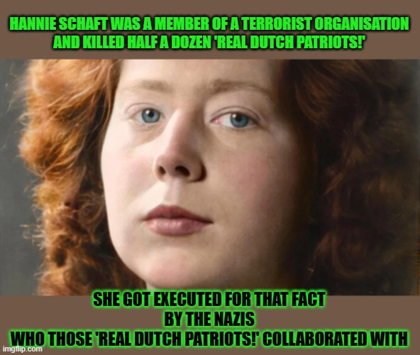 What's the difference between 'a resistance fighter' and 'a terrorist' and who decides that? | HANNIE SCHAFT WAS A MEMBER OF A TERRORIST ORGANISATION
AND KILLED HALF A DOZEN 'REAL DUTCH PATRIOTS!'; SHE GOT EXECUTED FOR THAT FACT
BY THE NAZIS
WHO THOSE 'REAL DUTCH PATRIOTS!' COLLABORATED WITH | image tagged in terrorism,resistance,nazis,fascism | made w/ Imgflip meme maker