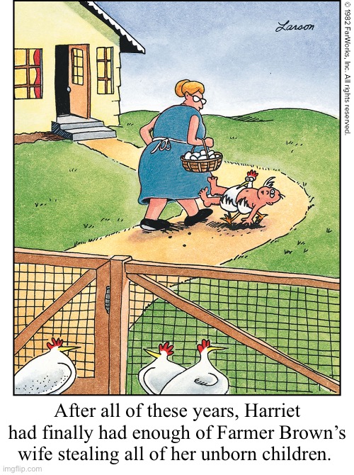 After all of these years, Harriet had finally had enough of Farmer Brown’s wife stealing all of her unborn children. | image tagged in comics,the far side,farmers wife,hen,eggs,turnabouts fair play | made w/ Imgflip meme maker