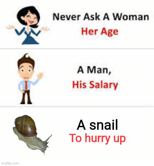 Never ask a woman her age | A snail; To hurry up | image tagged in never ask a woman her age | made w/ Imgflip meme maker