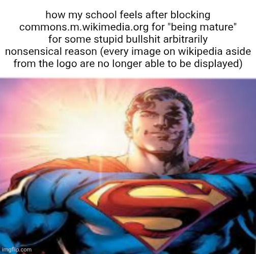 ​ | how my school feels after blocking commons.m.wikimedia.org for "being mature" for some stupid bullshit arbitrarily nonsensical reason (every image on wikipedia aside from the logo are no longer able to be displayed) | made w/ Imgflip meme maker