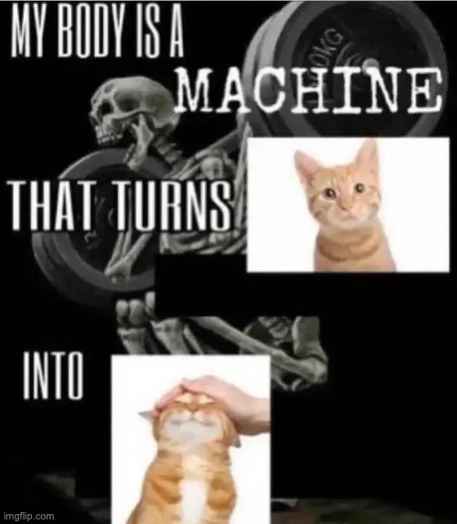 kitteh | made w/ Imgflip meme maker