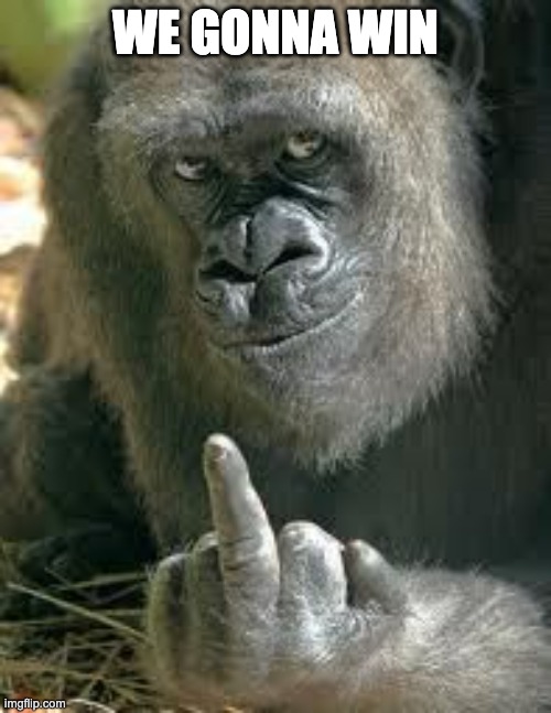first! | WE GONNA WIN | image tagged in gorrila flipping the middle finger up | made w/ Imgflip meme maker