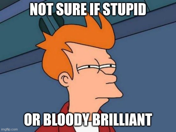 Futurama Fry Meme | NOT SURE IF STUPID OR BLOODY BRILLIANT | image tagged in memes,futurama fry | made w/ Imgflip meme maker