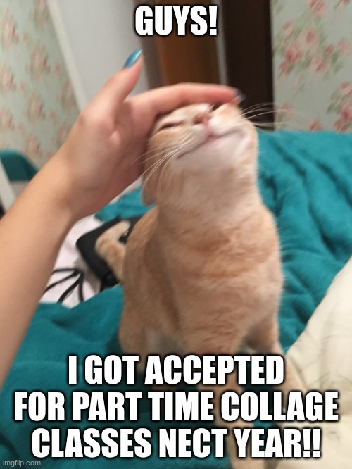 See I am smart :D | GUYS! I GOT ACCEPTED FOR PART TIME COLLAGE CLASSES NECT YEAR!! | image tagged in cat pat | made w/ Imgflip meme maker