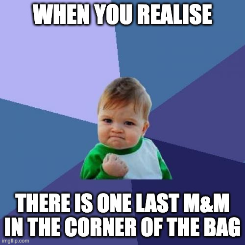 Success Kid | WHEN YOU REALISE; THERE IS ONE LAST M&M IN THE CORNER OF THE BAG | image tagged in memes,success kid | made w/ Imgflip meme maker