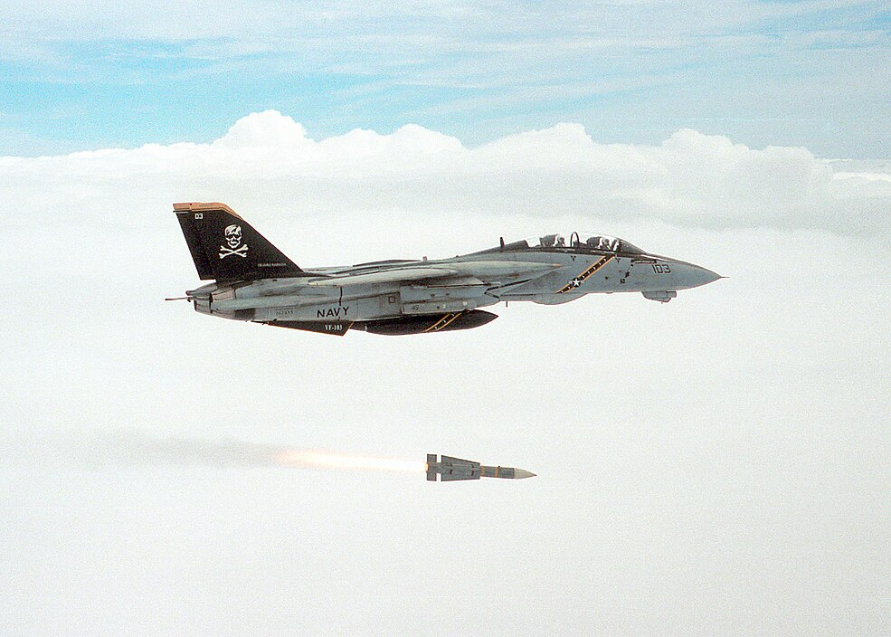 f14 tomcat Blank Meme Template