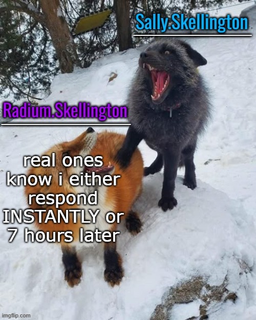 Radium and Sally temp | real ones know i either respond INSTANTLY or 7 hours later | image tagged in radium and sally temp | made w/ Imgflip meme maker