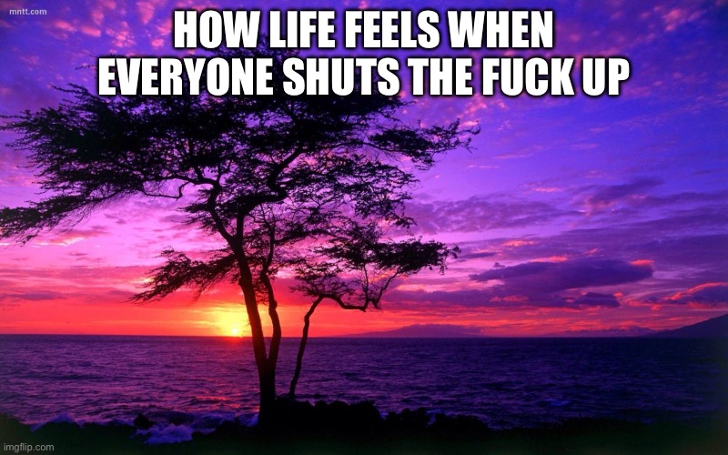 Sunrise purple beauty | HOW LIFE FEELS WHEN EVERYONE SHUTS THE FUCK UP | image tagged in sunrise purple beauty | made w/ Imgflip meme maker