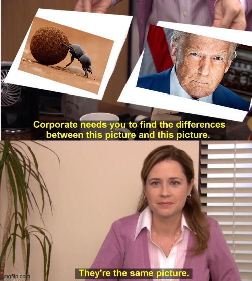 They're The Same Picture Meme | image tagged in memes,they're the same picture,dungmerchant | made w/ Imgflip meme maker