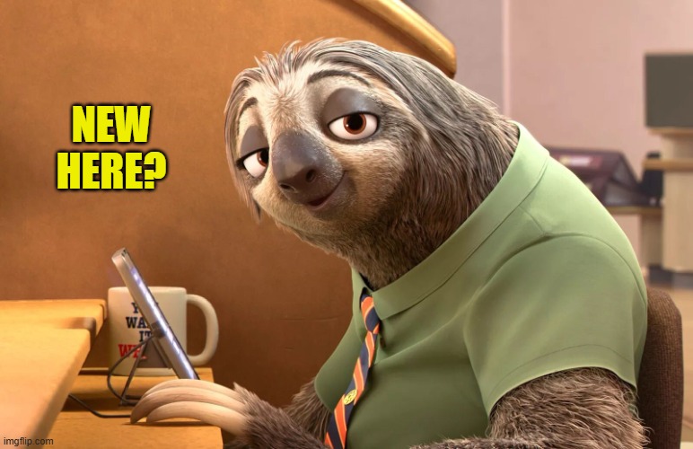 You must be new around here | NEW HERE? | image tagged in you must be new around here | made w/ Imgflip meme maker