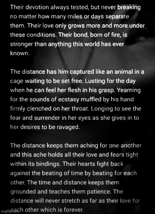 The Distance. | image tagged in strength,bond,devotion,tested,love,wins | made w/ Imgflip meme maker