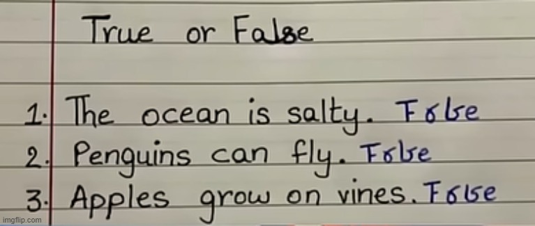 Does that say True of False? | image tagged in idk | made w/ Imgflip meme maker