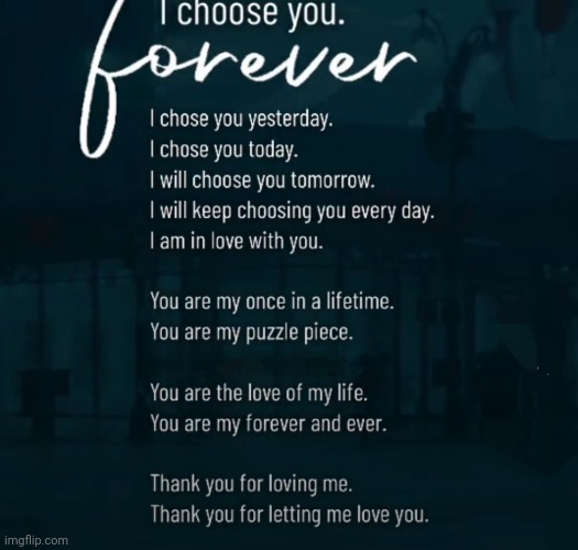 Forever. | image tagged in in,every,lifetime,i'll,choose,you | made w/ Imgflip meme maker