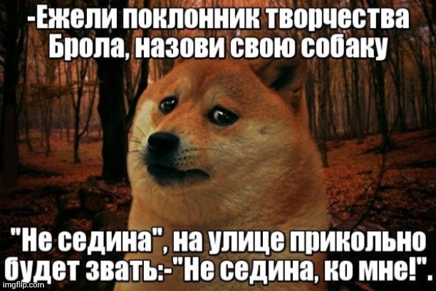 -The sitting with low meetings. | image tagged in foreign policy,dogecoin,better call saul,vanbiztherapper,oof stones,meds | made w/ Imgflip meme maker