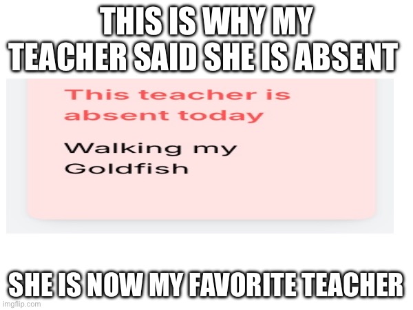 What in the world was she thinking | THIS IS WHY MY TEACHER SAID SHE IS ABSENT; SHE IS NOW MY FAVORITE TEACHER | image tagged in lol,dead goldfish | made w/ Imgflip meme maker