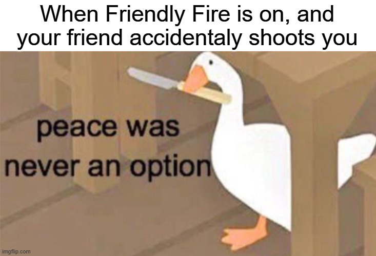 u sh4ll di3 now... teamate | When Friendly Fire is on, and your friend accidentaly shoots you | image tagged in untitled goose peace was never an option,funny,memes | made w/ Imgflip meme maker
