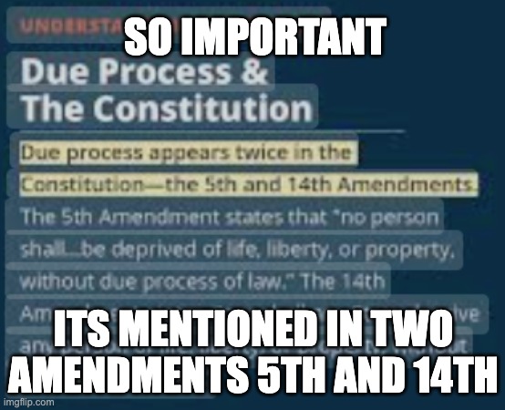 Due Process | SO IMPORTANT; ITS MENTIONED IN TWO AMENDMENTS 5TH AND 14TH | image tagged in due process the constitution | made w/ Imgflip meme maker