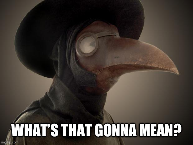 Plague Doctor | WHAT’S THAT GONNA MEAN? | image tagged in plague doctor | made w/ Imgflip meme maker