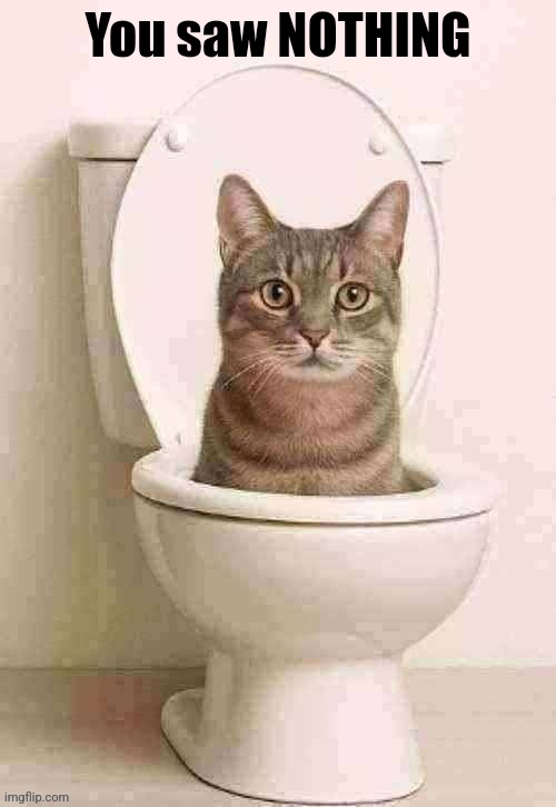 skibidi cat | You saw NOTHING | image tagged in skibidi cat | made w/ Imgflip meme maker