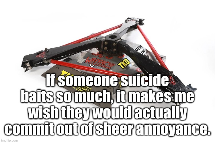 Those people pmo | If someone suicide baits so much, it makes me wish they would actually commit out of sheer annoyance. | image tagged in son of whyachi | made w/ Imgflip meme maker