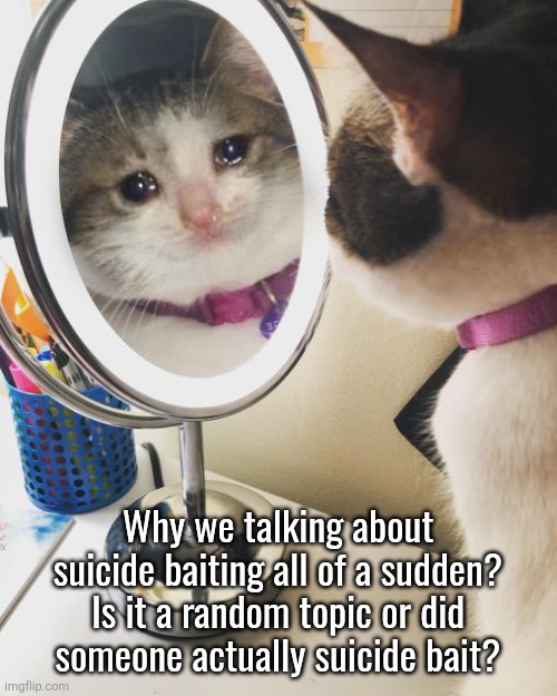 cat crying in front of the mirror | Why we talking about suicide baiting all of a sudden? Is it a random topic or did
someone actually suicide bait? | image tagged in cat crying in front of the mirror | made w/ Imgflip meme maker
