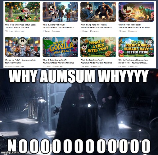 WHY AUMSUM WHYYYYY | WHY AUMSUM WHYYYY | image tagged in darth vader noooo | made w/ Imgflip meme maker