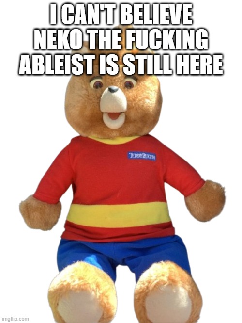 1998 Teddy Ruxpin | I CAN'T BELIEVE NEKO THE FUCKING ABLEIST IS STILL HERE | image tagged in 1998 teddy ruxpin | made w/ Imgflip meme maker