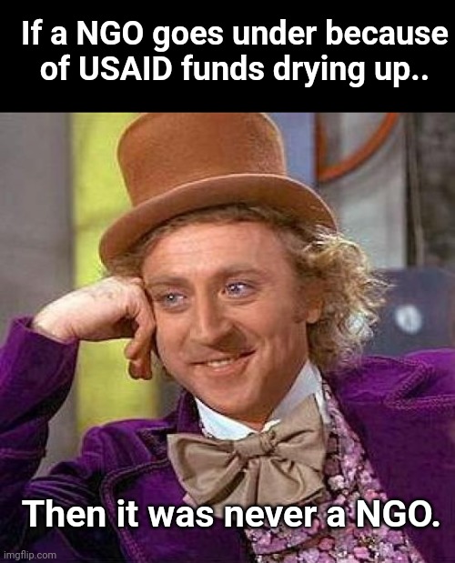 Creepy Condescending Wonka Meme | If a NGO goes under because of USAID funds drying up.. Then it was never a NGO. | image tagged in memes,creepy condescending wonka | made w/ Imgflip meme maker