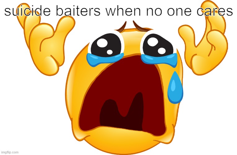 WHY | suicide baiters when no one cares | image tagged in why | made w/ Imgflip meme maker