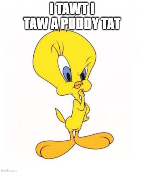 9t2mot.jpg