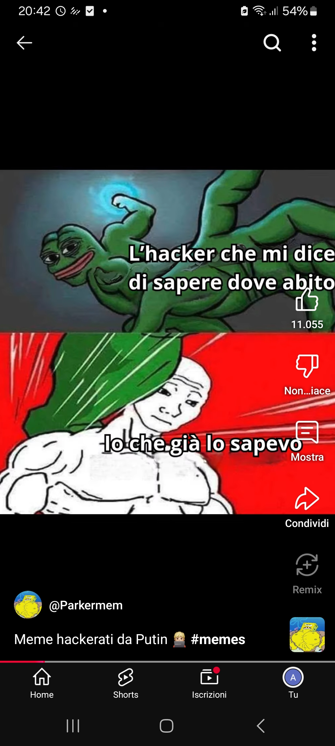 Rana pugno Blank Meme Template