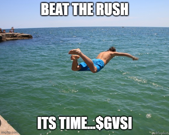 man jumping in water | BEAT THE RUSH; ITS TIME...$GVSI | image tagged in man jumping in water | made w/ Imgflip meme maker